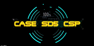 Professional education — SD5 CSP